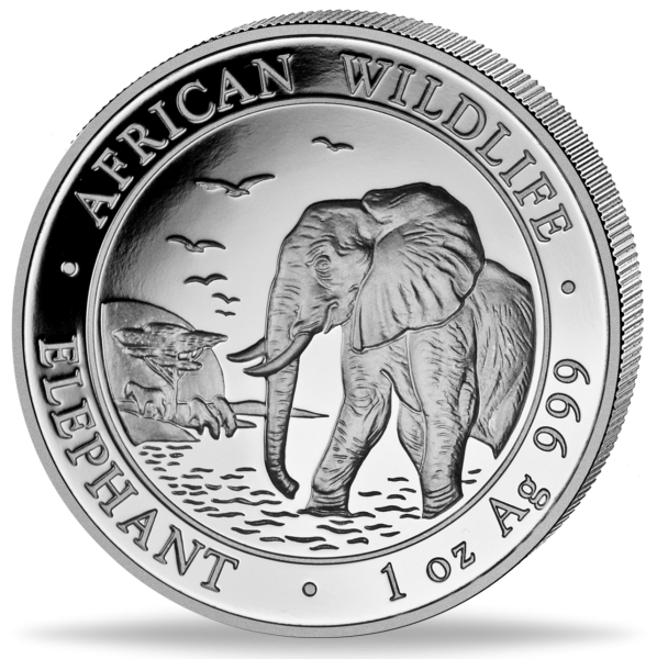 1 unze silbermünze 100 sh somalia elefant 2010 Münzvorderseite
