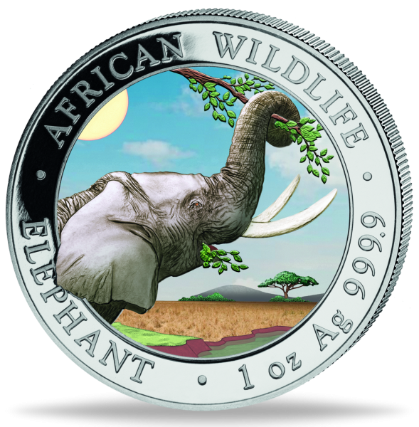1 Unze Silbermünze Somalia Elefant 2023 Farbappliaktion Tagdesign Münzvorderseit