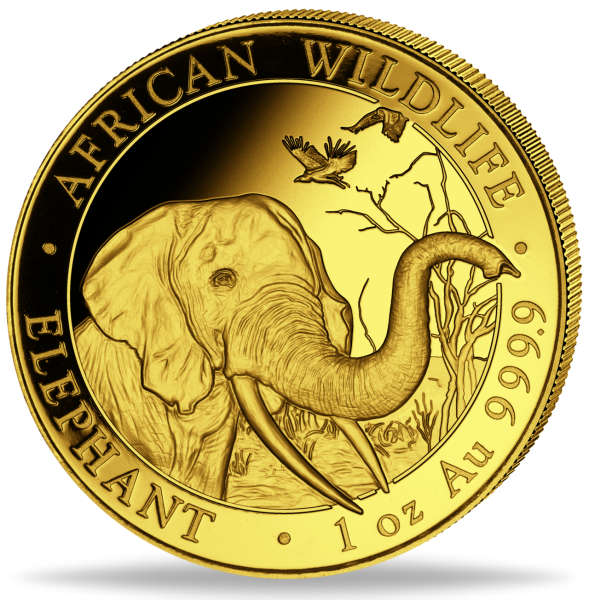 1 Unze Goldmünze Somalia Elefant 2018 Münzvorderseite