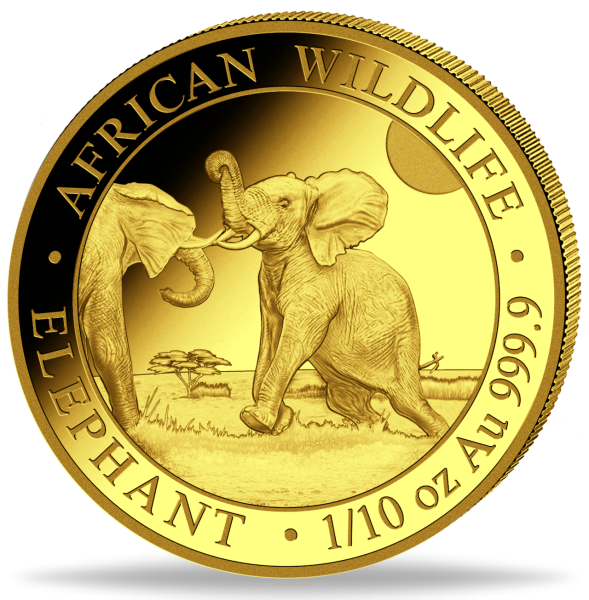 1/10 Unze Gold Somalia Elefant 2024 Münzvorderseite