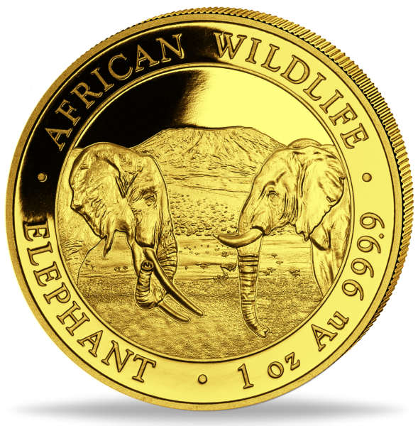 1 Unze Goldmünze Somalia Elefant 2020 Münzvorderseite