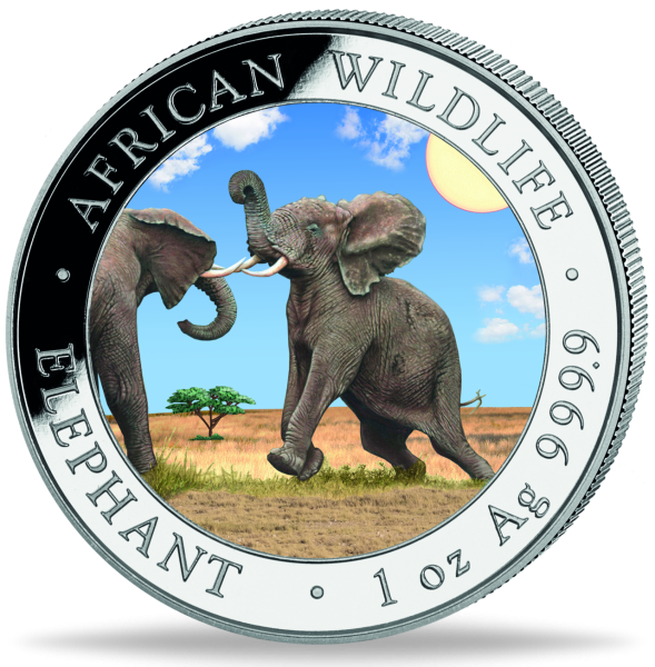 1 Unze Silbermünze Somalia Elefant 2024 Farbapplikation Münzvorderseite