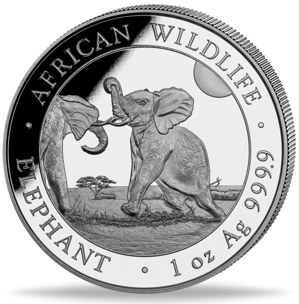 1 Unzen Silbermünze Somalia Elefant 2024 Münzvorderseite