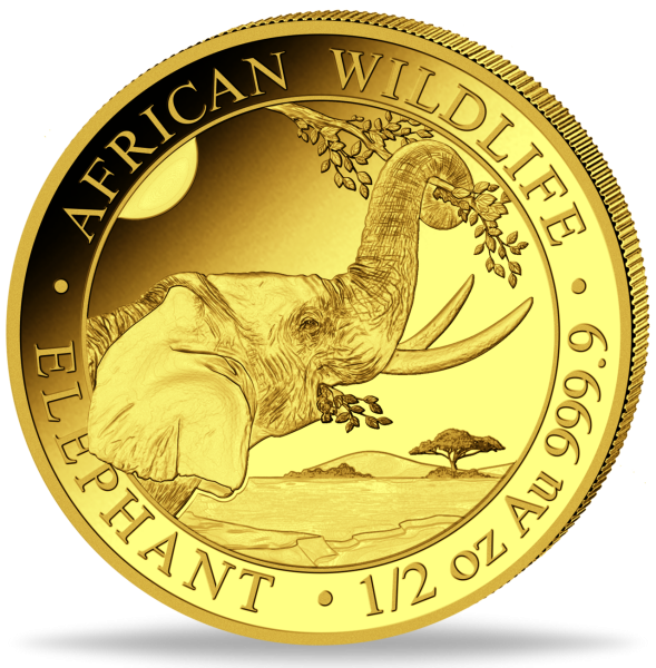 1/2 Unze Goldmünze Somalia Elefant 2023 Münzvorderseite