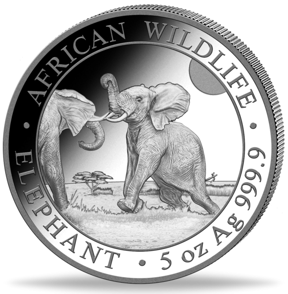 Somalia 500 Shilling Elefant African Wildlife 5 Unzen Silber Vorderseite