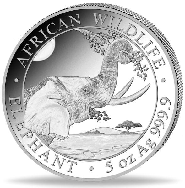 500 Schilling Somalia Elefant 5 Unzen Silber 2023 - Münze Vorderseite