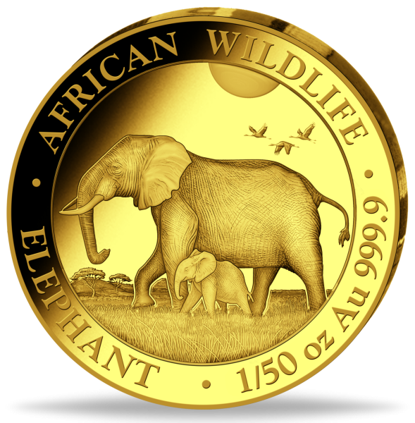 1/50 oz Somalia Elefant 2022 Vorderseite Münze