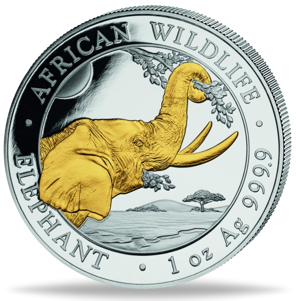 1 Unze SIlbermünze Somalia Elefant 2023 Goldappliaktion Münzvorderseite
