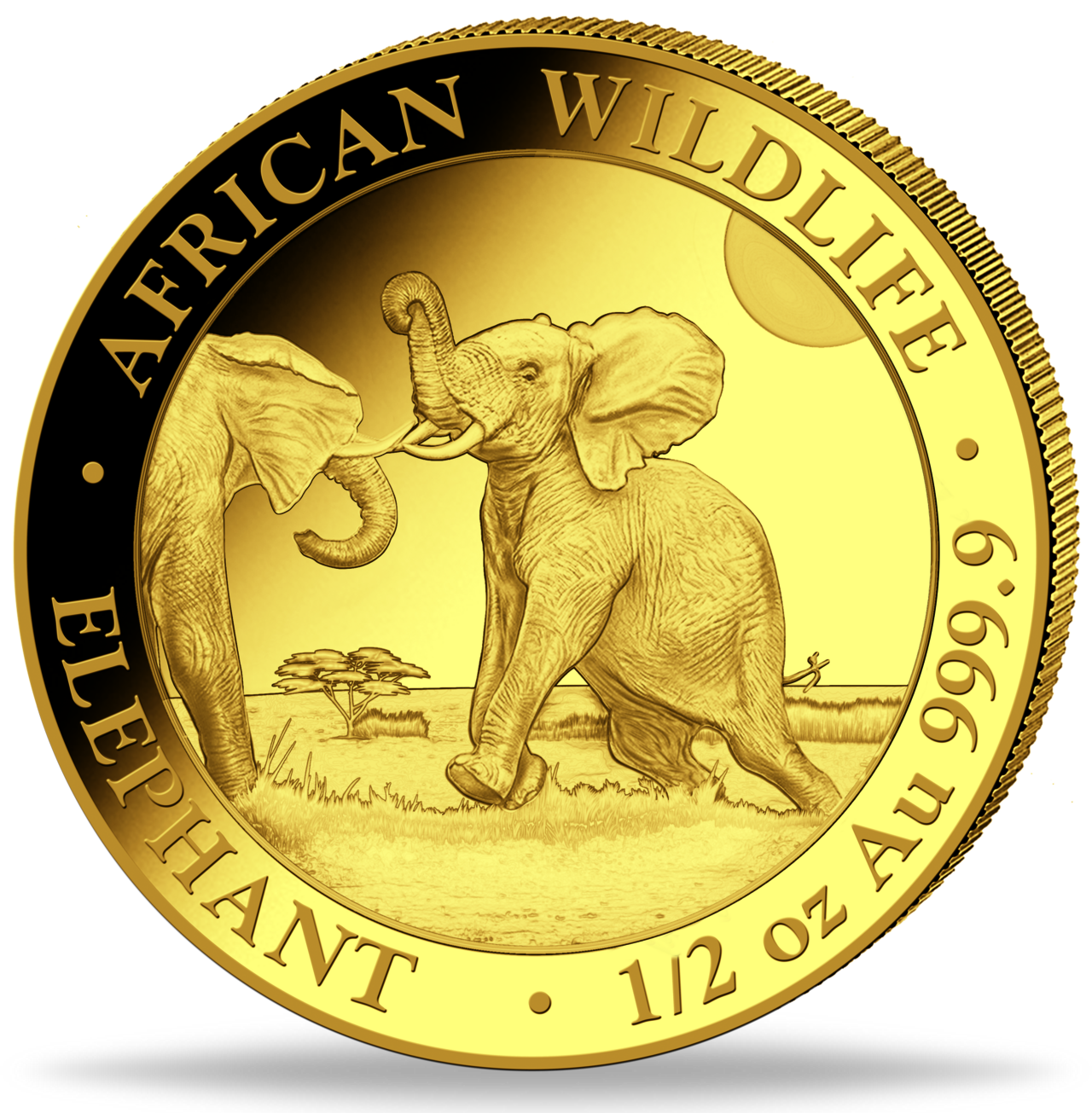 1/2 Unze Goldmünze Somalia Elefant 2024 Vorderseite