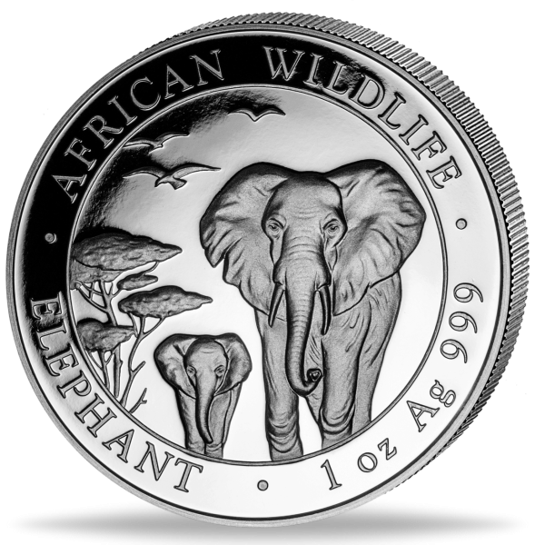 1 Unze Silbermünze Somalia Elefant 2015 Münzvorderseite