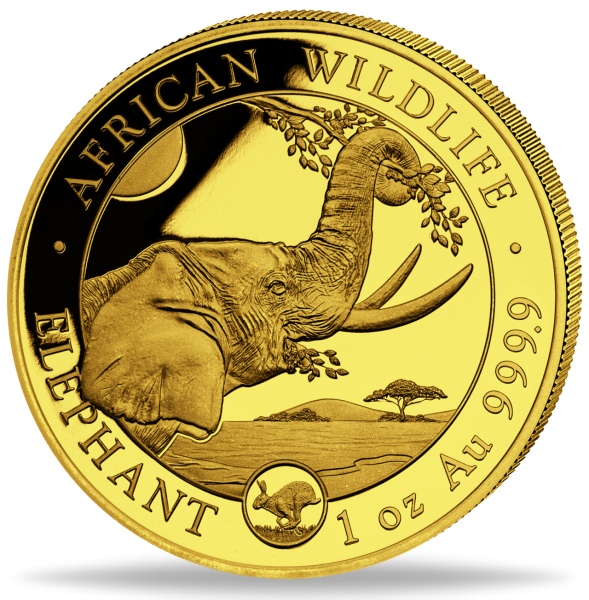 1.000 Shilling Somalia Elefant 1 Unze Gold 2023 Privy Hase Vorderseite Münze