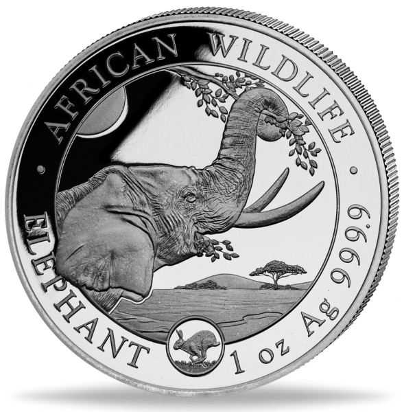100 Shilling Somalia Elefant 1 Unze Silber 2023 Privy Hase Vorderseite Münze