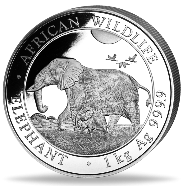 2.000 Schilling Somalia Elefant 1 kg Silber 2022 Vorderseite Münze