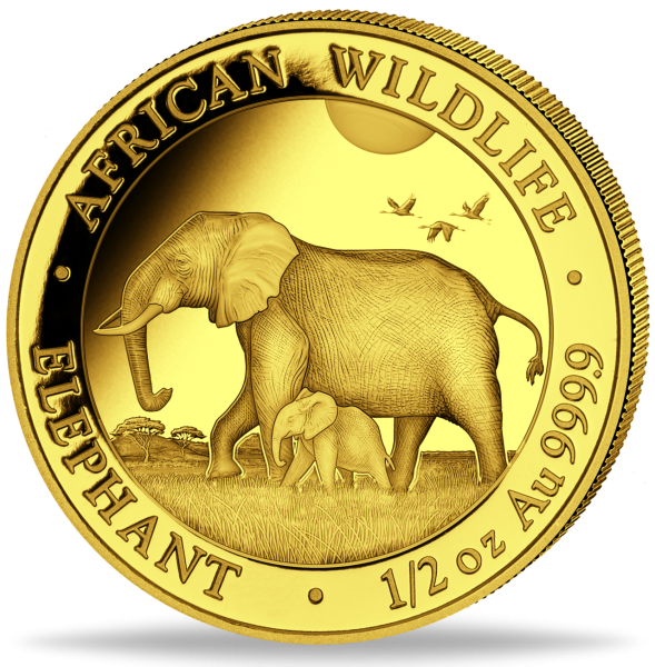 500 Shilling Elefant 1/2 Unze Gold - Münze Vorderseite