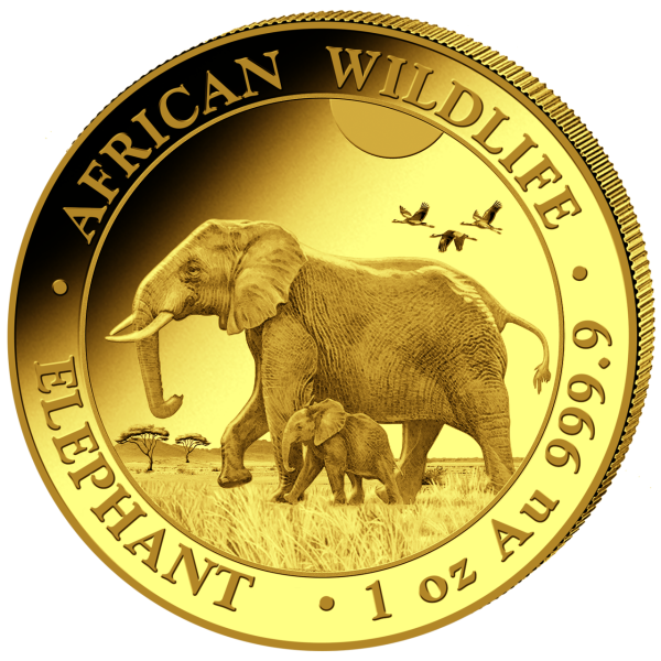 1 Unze Gold Somalia Elefant 2022 - Anlagemünze Vorderseite