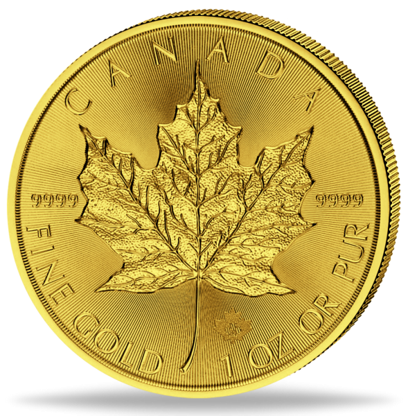 Kanada 50 Dollar Maple Leaf 1 Unze Gold 2024 - Münze Vorderseite