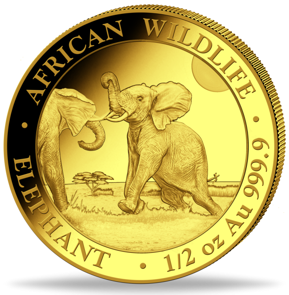 1/2 Unze Goldmünze Somalia Elefant 2024 Münzvorderseite