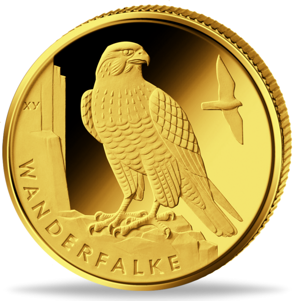 1/8 Unze Gold 20 Euro Heimische Vögel Wanderfalke G Vorderseite_00110382019R20