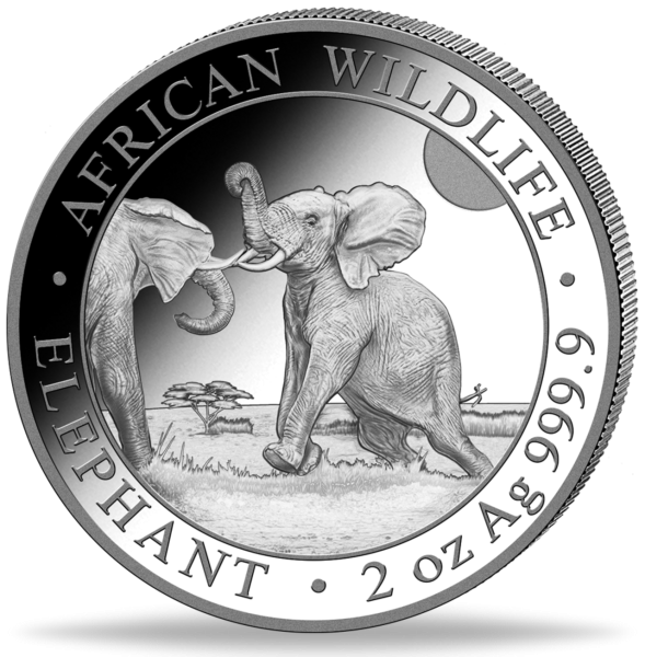 200 Shilling Elefant African Wildlife 2 Unzen Silber 2024 - Münze Vorderseite