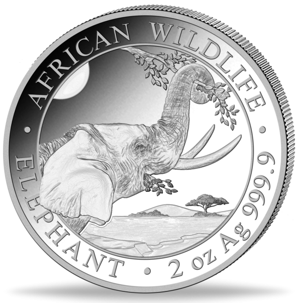200 Schilling Somalia Elefant 2 Unzen Silber 2023 - Münze Vorderseite